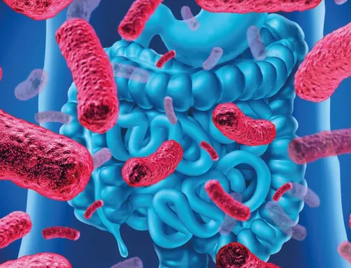 Microbiota intestinale: un universo esplorato