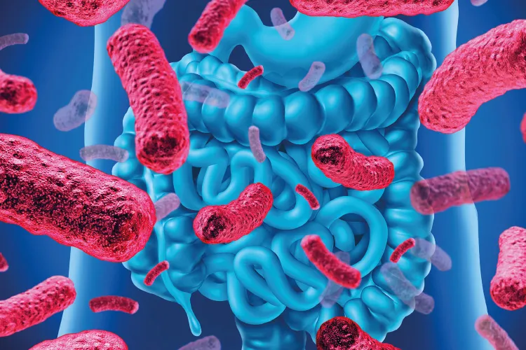 microbiota intestinale